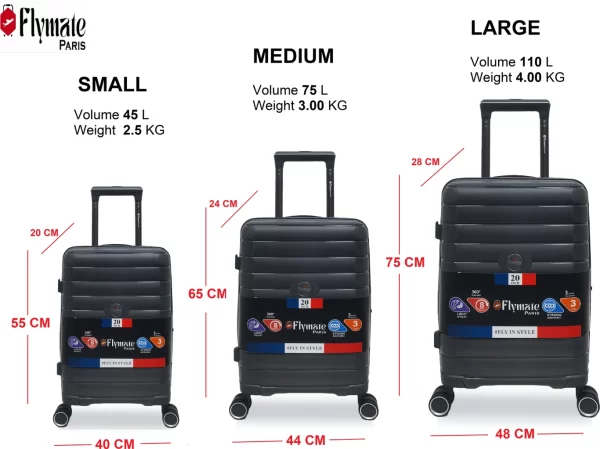 st3333-flymate-paris-original-imah5z6naagzekxn