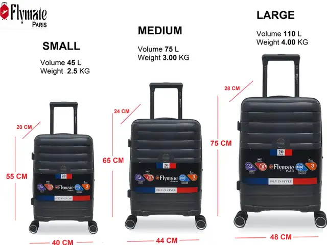 Flymate Suitcase Combo (Grey) - Image 3